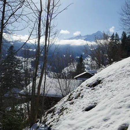 Colette-2 By Interhome * 그린델발트