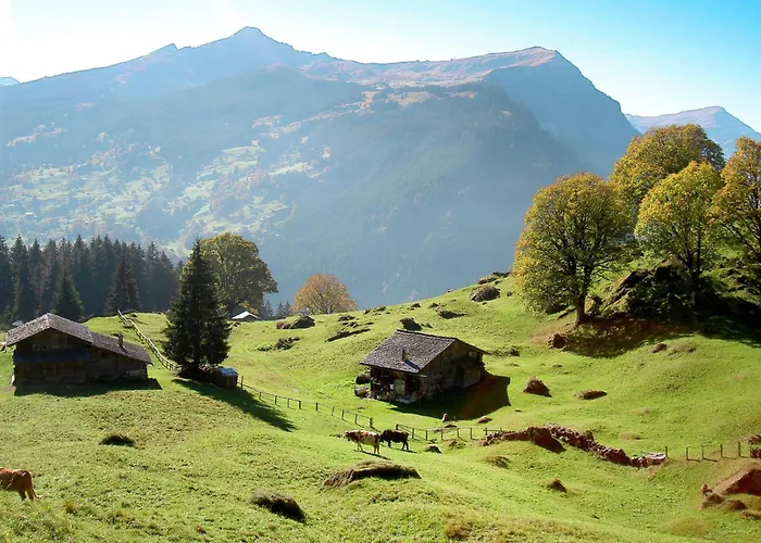 Апартаменты Colette - 2 By Interhome *