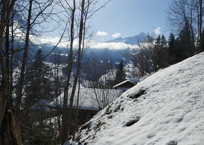 Colette - 2 By Interhome * Гриндельвальд