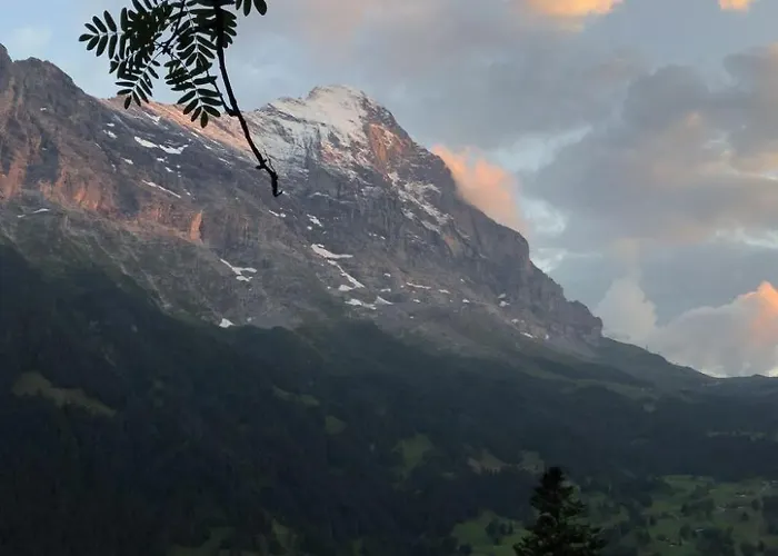 Colette - 2 By Interhome Гріндельвальд