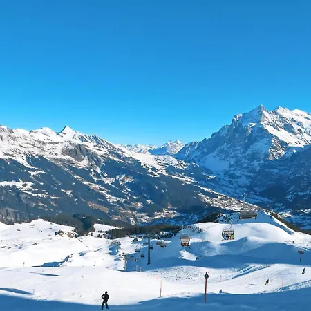 Colette - 2 By Interhome * Grindelwald